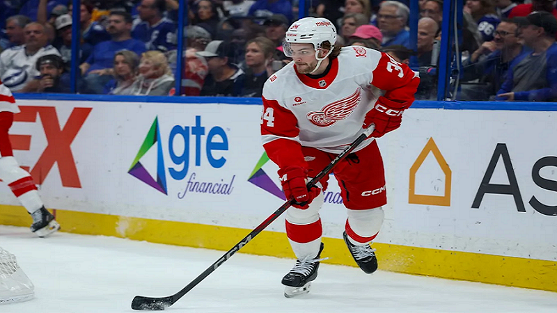 Detroit Red Wings Image