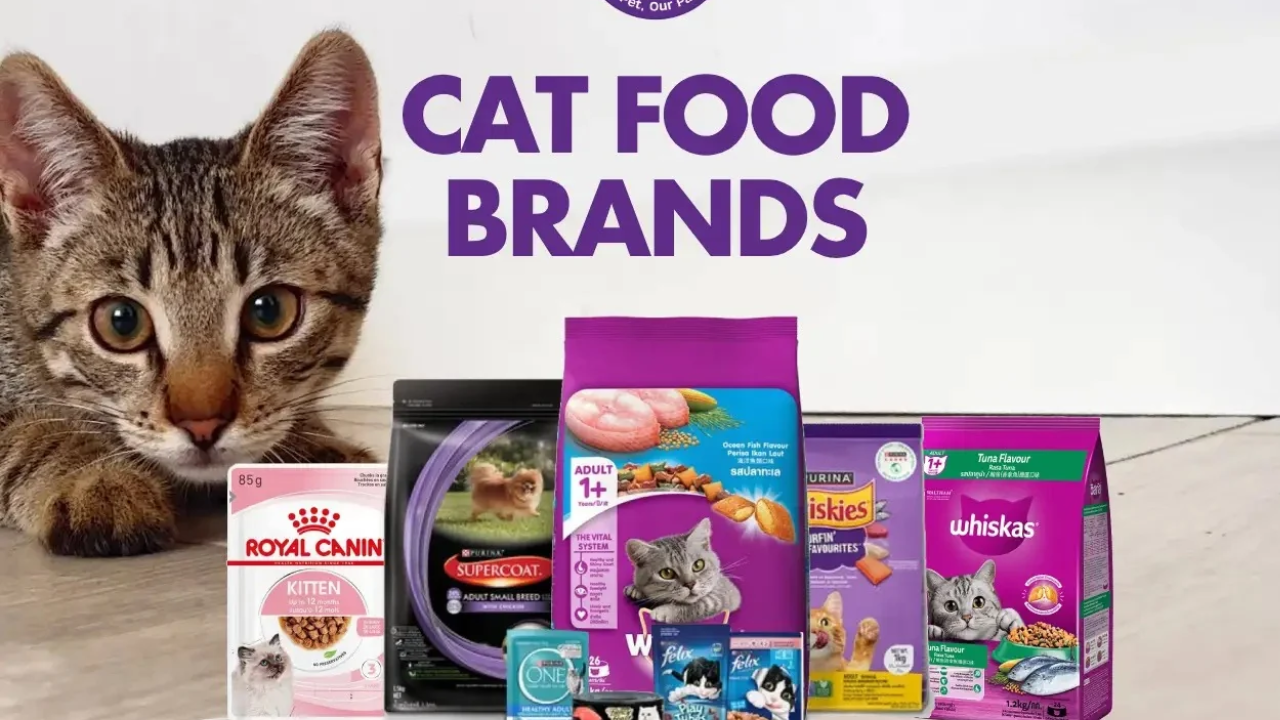 Best Cat Food Brands